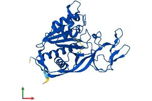 AlphaFold protein structure predicition of Mouse Recombinant Aspa Protein, UniprotID Q8R3P0 (ASPA Protein (AA 1-312) (His tag))
