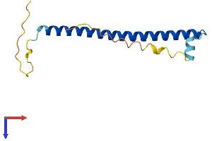 CREBL2 Protein (AA 1-120) (His tag)