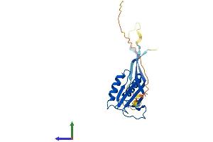 AlphaFold protein structure predicition of Mouse Recombinant Rpp25 Protein, UniprotID Q91WE3 (RPP25 Protein (AA 1-199) (His tag))
