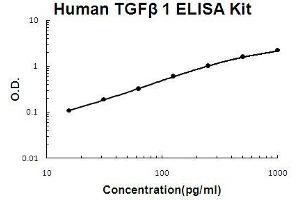 Human TGF beta 1 PicoKine ELISA Kit standard curve