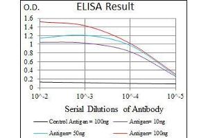 Black line: Control Antigen (100 ng), Purple line: Antigen(10 ng), Blue line: Antigen (50 ng), Red line: Antigen (100 ng), (PLK1 antibody  (AA 331-508))