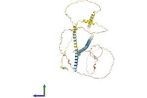 AlphaFold protein structure predicition of Mouse Recombinant Ivl Protein, UniprotID P48997 (Involucrin Protein (IVL) (AA 1-467) (His tag))