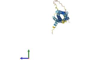 Protein Structure (PS) image for Membrane-Spanning 4-Domains, Subfamily A, Member 2 (Fc Fragment of IgE, High Affinity I, Receptor For, beta Polypeptide) (MS4A2) (AA 1-235) protein (His tag) (ABIN7562948)
