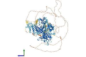 AlphaFold protein structure predicition of Mouse Recombinant Efcab5 Protein, UniprotID A0JP43