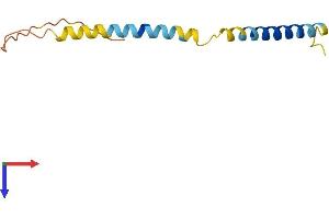 WW Domain Binding Protein 5 (WBP5) (AA 1-104) protein (His tag)
