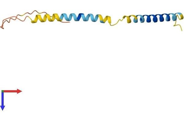 WW Domain Binding Protein 5 (WBP5) (AA 1-104) protein (His tag)