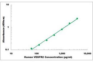 Representative Standard Curve (VEGFR2/CD309 ELISA Kit)