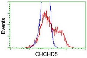 HEK293T cells transfected with either RC202606 overexpress plasmid (Red) or empty vector control plasmid (Blue) were immunostained by anti-CHCHD5 antibody (ABIN2454199), and then analyzed by flow cytometry. (CHCHD5 antibody  (AA 1-110))