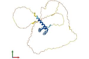 AlphaFold protein structure predicition of Human Recombinant OTX2 Protein, UniprotID P32243 (OTX2 Protein (AA 1-289) (His tag))