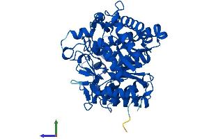 AlphaFold protein structure predicition of Human Recombinant GBA3 Protein, UniprotID Q9H227