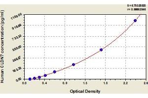 Typical Standard Curve (Claudin 7 ELISA Kit)