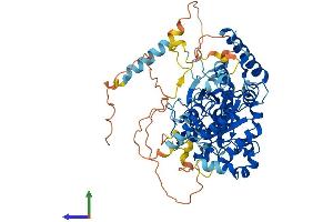 Protein Structure (PS) image for Guanine Nucleotide Binding Protein Like Protein 1 (GNL1) (AA 1-607) protein (His tag) (ABIN7563197)