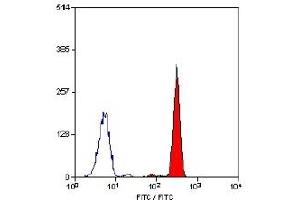Staining of human peripheral blood granulocytes with Mouse anti Human CD88-FITC (C5AR1 antibody  (N-Term) (FITC))