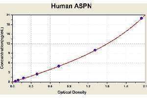 Asporin (ASPN) ELISA Kit