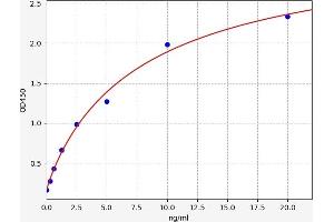 Adenosine A2b Receptor ELISA Kit