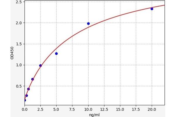 Adenosine A2b Receptor ELISA Kit