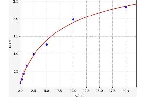 Typical standard curve (Adenosine A2b Receptor ELISA Kit)