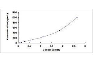 TCIRG1 ELISA Kit