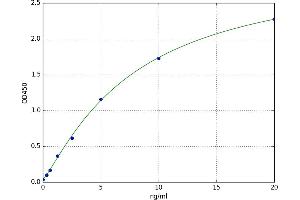 BCL2-Like 1 (BCL2L1) ELISA Kit