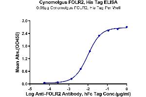 ELISA image for Folate Receptor 2 (Fetal) (FOLR2) (AA 9-187) protein (His tag) (ABIN7274663)