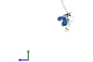 Protein Structure (PS) image for ATPase, H+ Transporting, Lysosomal 34kDa, V1 Subunit D (ATP6V1D) (AA 1-247) protein (His tag) (ABIN7545057)