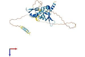 AlphaFold protein structure predicition of Human Recombinant MAGEB2 Protein, UniprotID O15479 (MAGEB2 Protein (AA 1-319) (His tag))