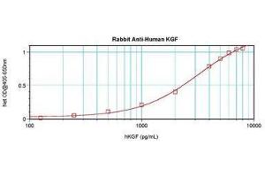 Image no. 3 for anti-Fibroblast Growth Factor 7 (FGF7) antibody (ABIN465624) (FGF7 antibody)