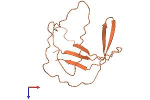 MIR7-3 Host Gene (Non-Protein Coding) (MIR7-3HG) (AA 1-128) protein (His tag)