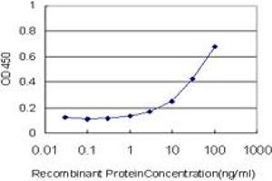 Detection limit for recombinant GST tagged MEOX1 is approximately 1ng/ml as a capture antibody. (MEOX1 antibody  (AA 165-252))