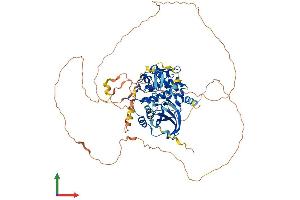 AlphaFold protein structure predicition of Mouse Recombinant Pak6 Protein, UniprotID Q3ULB5 (PAK6 Protein (AA 1-682) (His tag))
