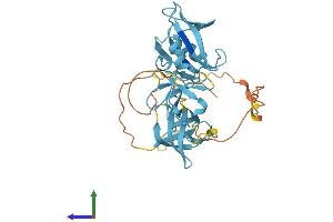 Protein Structure (PS) image for V-Crk Sarcoma Virus CT10 Oncogene Homolog (Avian)-Like (CRKL) (AA 1-303) protein (His tag) (ABIN7563299)