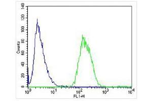 Overlay histogram showing SH-SY5Y cells stained with (ABIN6243251 and ABIN6577964) (green line). (LRRK2 antibody  (C-Term))