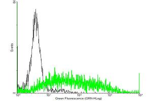 FACS analysis of negative control 293 cells (Black) and C3AR1 expressing 293 cells (Green) using C3AR1 purified MaxPab mouse polyclonal antibody. (C3AR1 antibody  (AA 1-482))