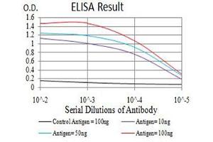 Black line: Control Antigen (100 ng),Purple line: Antigen (10 ng), Blue line: Antigen (50 ng), Red line:Antigen (100 ng) (BCL11B antibody  (AA 1-150))