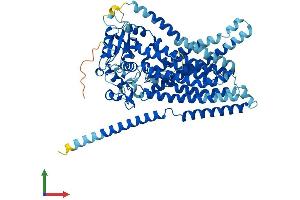 AlphaFold protein structure predicition of Mouse Recombinant Ano10 Protein, UniprotID Q8BH79