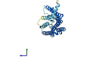 AlphaFold protein structure predicition of Human Recombinant OR10H3 Protein, UniprotID O60404 (OR10H3 Protein (AA 1-316) (His tag))