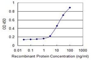 Detection limit for recombinant GST tagged HKDC1 is 1 ng/ml as a capture antibody. (HKDC1 antibody  (AA 1-427))