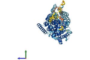 AlphaFold protein structure predicition of Mouse Recombinant Slc5a1 Protein, UniprotID Q8C3K6