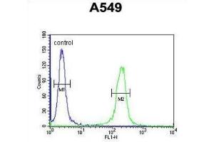 Flow Cytometry (FACS) image for anti-Intraflagellar Transport 43 Homolog (IFT43) antibody (ABIN3002323) (IFT43 antibody)