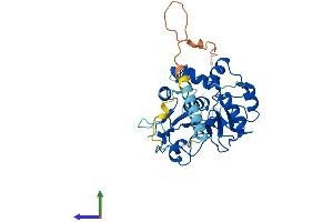 AlphaFold protein structure predicition of Mouse Recombinant St3gal2 Protein, UniprotID Q11204 (ST3GAL2 Protein (AA 1-350) (His tag))