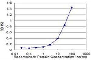 Detection limit for recombinant GST tagged APP is approximately 1ng/ml as a capture antibody. (APP antibody  (AA 19-305))