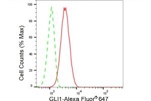 Flow cytometric analysis of GLI1 expression in C2C12 cells using GLI1 antibody (ABIN7800900), 1:2,000).