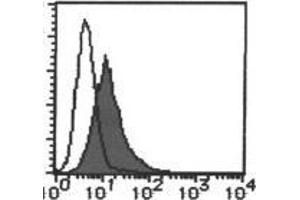 Flow cytometric analysis of CD267/TACI expression on transfectant. (TACI antibody  (PE))