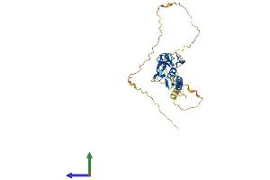AlphaFold protein structure predicition of Mouse Recombinant Rnf223 Protein, UniprotID Q3UV31 (RNF223 Protein (AA 1-285) (His tag))