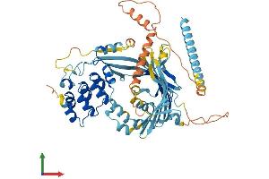 AlphaFold protein structure predicition of Human Recombinant ANKRD13A Protein, UniprotID Q8IZ07 (ANKRD13A Protein (AA 1-590) (His tag))