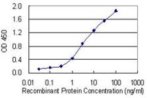 Detection limit for recombinant GST tagged H2AFV is 0. (H2AFV antibody  (AA 1-128))