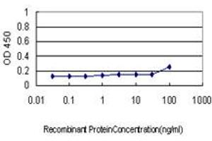 Detection limit for recombinant GST tagged COX6C is approximately 1ng/ml as a capture antibody. (COX6C antibody  (AA 1-75))