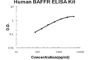 Human TNFRSF13C/BAFFR PicoKine ELISA Kit standard curve (TNFRSF13C ELISA Kit)