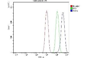 Flow Cytometry analysis of PC-3 cells using anti-ARF6 antibody (ABIN7602413). (ARF6 antibody  (AA 75-175))