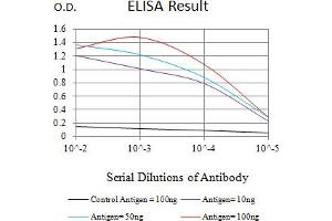 Black line: Control Antigen (100 ng),Purple line: Antigen (10 ng), Blue line: Antigen (50 ng), Red line:Antigen (100 ng) (XIAP antibody  (AA 1-268))